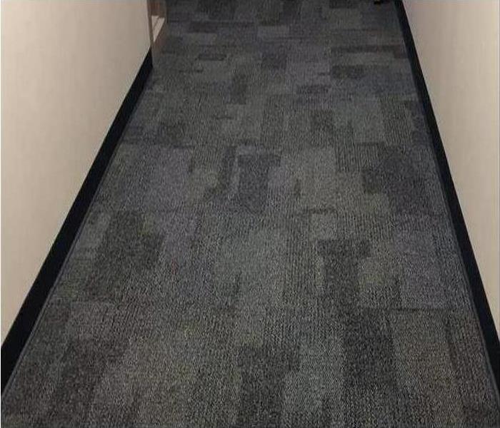 Carpet after SERVPRO water damage restoration service