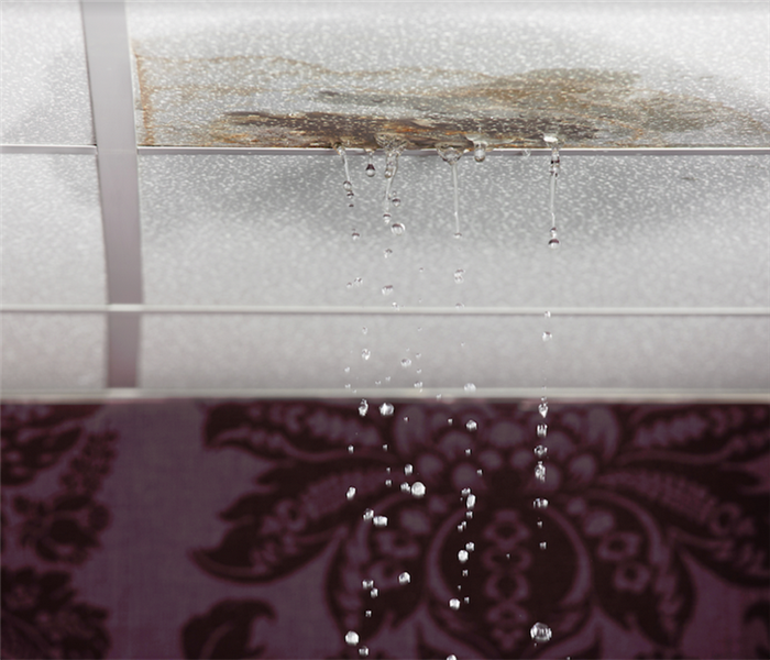 water leaking from ceiling tiles