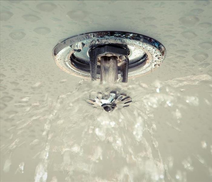 Fire Sprinkler system
